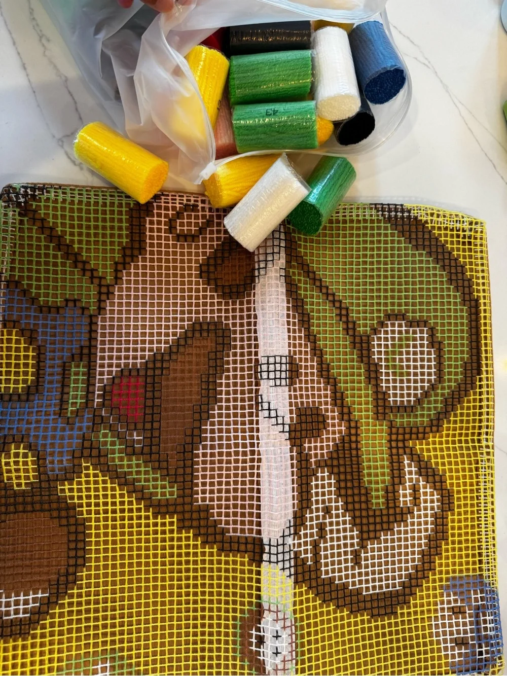 Super Mario Yarn Canvas Kit - throw pillow case
